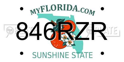 846RZR Florida License Plate