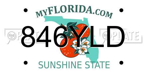 846YLD Florida License Plate