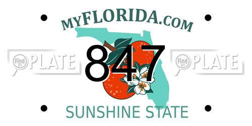 847 Florida License Plate