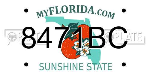 8471BC Florida License Plate