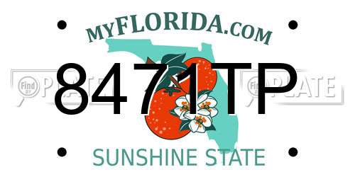 8471TP Florida License Plate