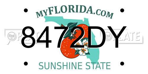 8472DY Florida License Plate