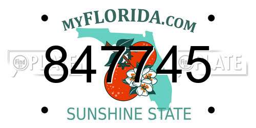 847745 Florida License Plate