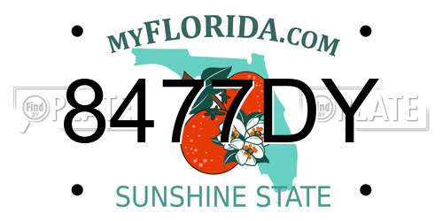 8477DY Florida License Plate