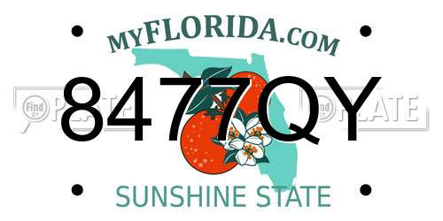 8477QY Florida License Plate