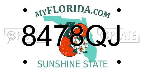 8478QJ Florida License Plate