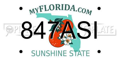 847ASI Florida License Plate