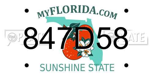 847D58 Florida License Plate