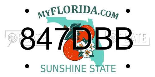 847DBB Florida License Plate