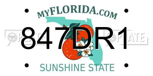 847DR1 Florida License Plate
