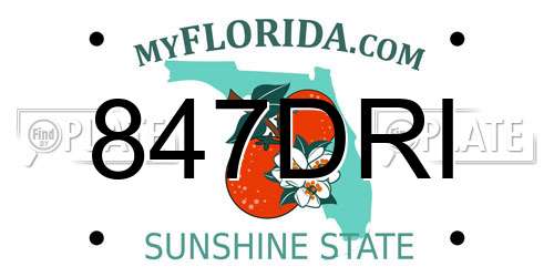 847DRI Florida License Plate
