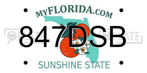 847DSB Florida License Plate