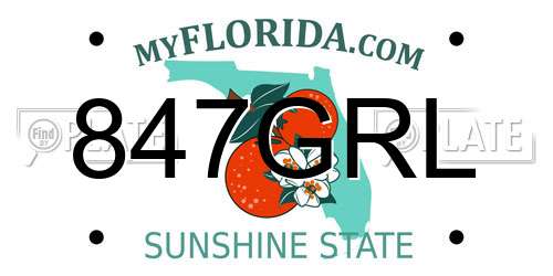 847GRL Florida License Plate