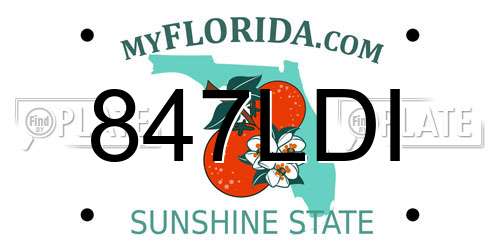 847LDI Florida License Plate