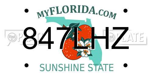 847LHZ Florida License Plate