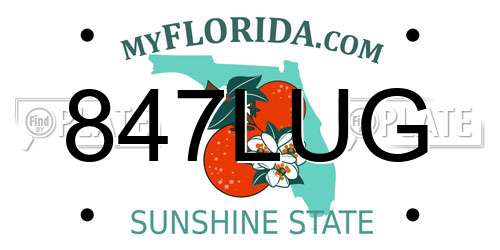 847LUG Florida License Plate
