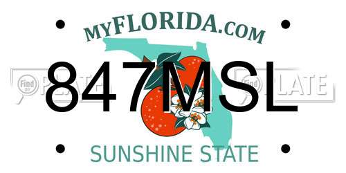 847MSL Florida License Plate