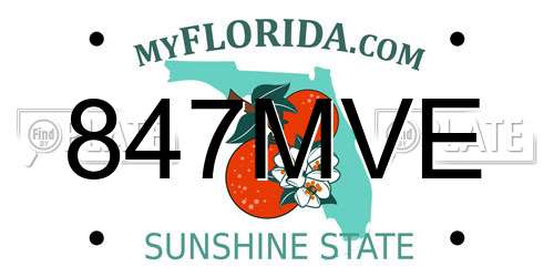 847MVE Florida License Plate