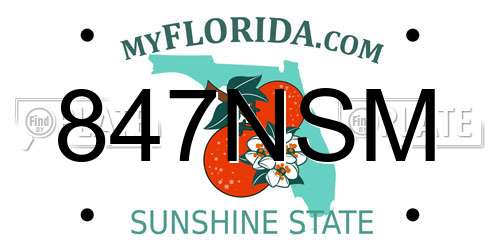 847NSM Florida License Plate
