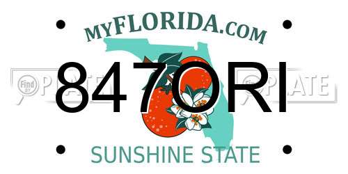 847ORI Florida License Plate