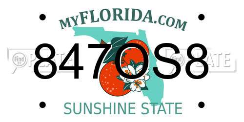 847OS8 Florida License Plate
