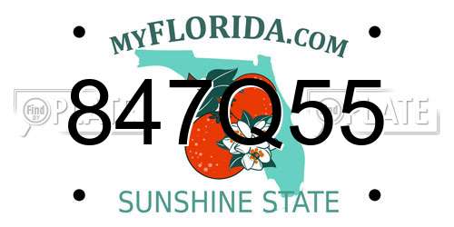 847Q55 Florida License Plate