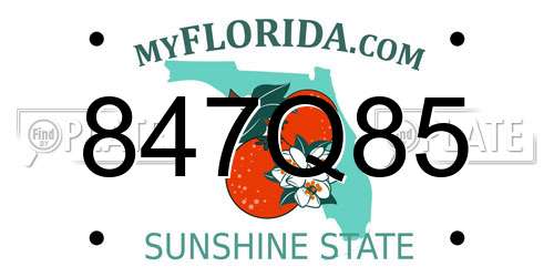 847Q85 Florida License Plate