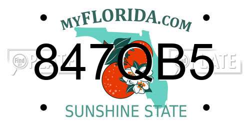 847QB5 Florida License Plate