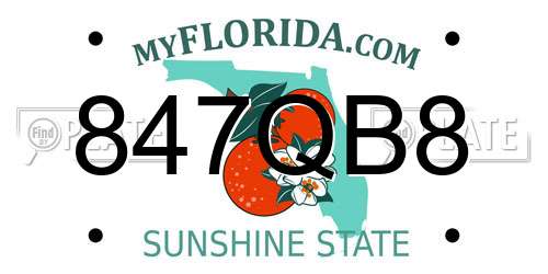 847QB8 Florida License Plate