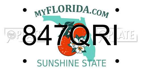847QRI Florida License Plate