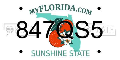 847QS5 Florida License Plate