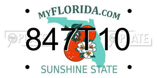 847T10 Florida License Plate