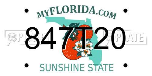 847T20 Florida License Plate