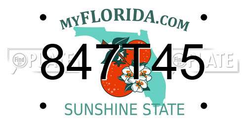 847T45 Florida License Plate