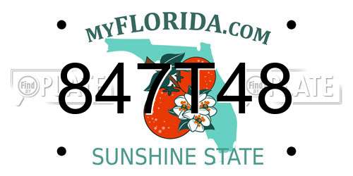 847T48 Florida License Plate