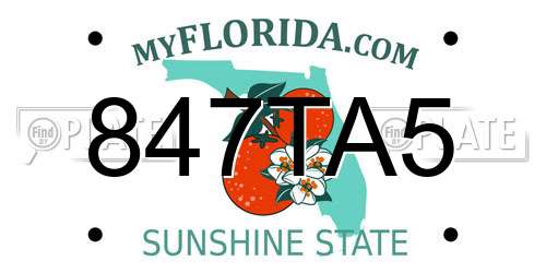847TA5 Florida License Plate