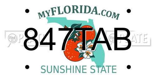 847TAB Florida License Plate