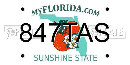 847TAS Florida License Plate