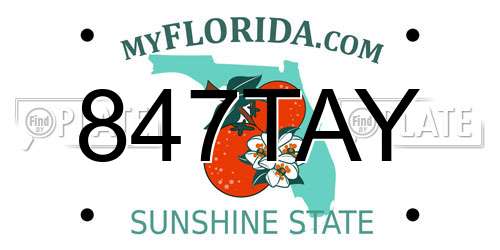 847TAY Florida License Plate