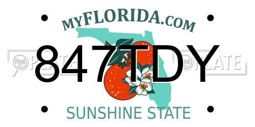 847TDY Florida License Plate