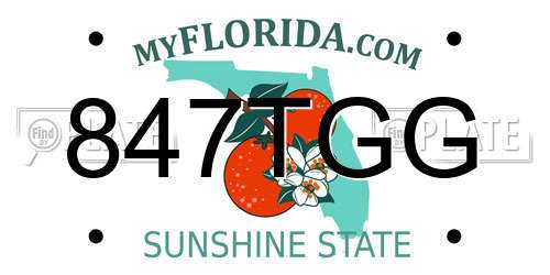 847TGG Florida License Plate
