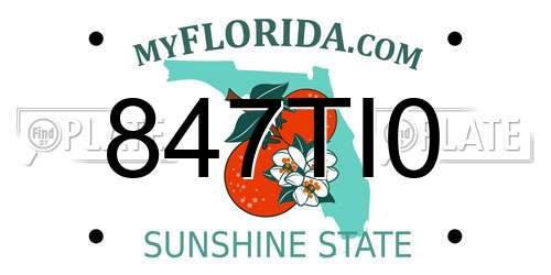 847TI0 Florida License Plate