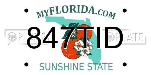 847TID Florida License Plate