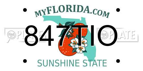 847TIO Florida License Plate