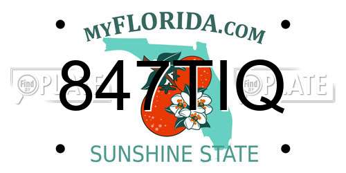 847TIQ Florida License Plate