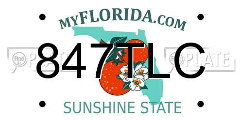 847TLC Florida License Plate