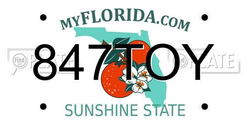 847TOY Florida License Plate