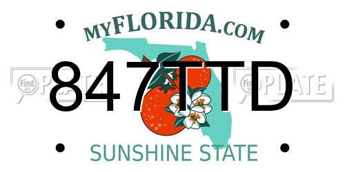 847TTD Florida License Plate