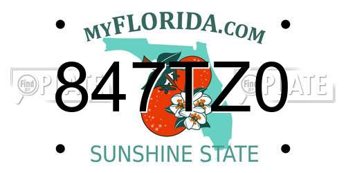 847TZ0 Florida License Plate