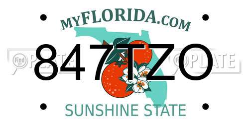 847TZO Florida License Plate